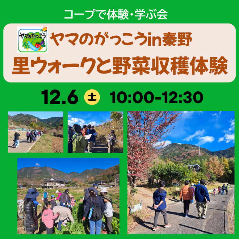 ヤマのがっこう　里ウォーク　サムネ (1)